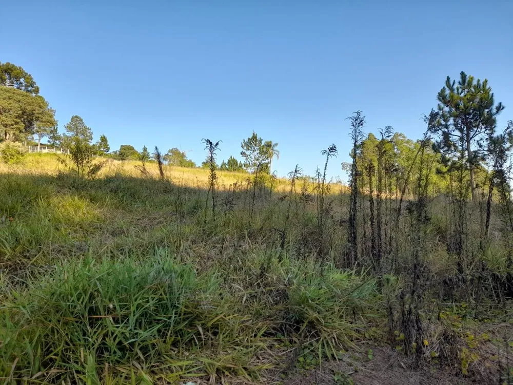 Terreno, 1 hectares - Foto 4