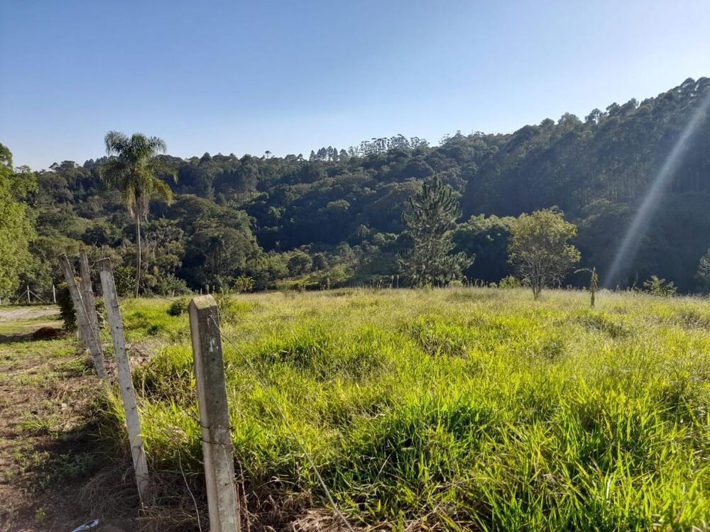 Terreno, 1 hectares - Foto 3