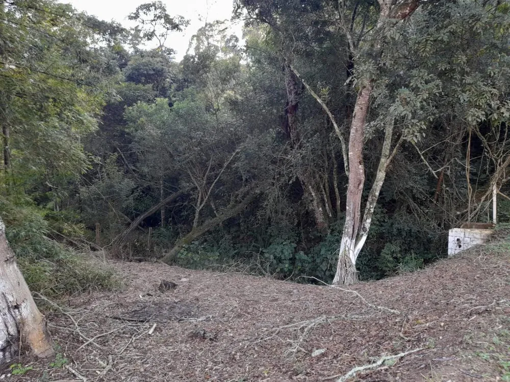 Terreno, 1 hectares - Foto 7