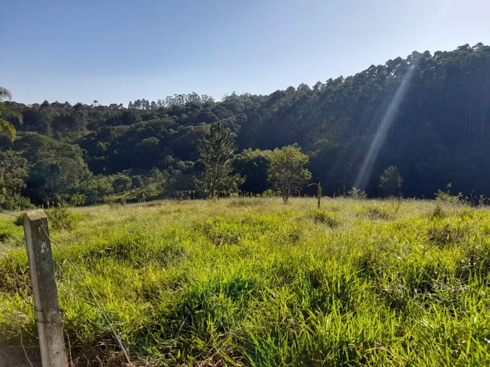 Terreno, 1 hectares - Foto 6
