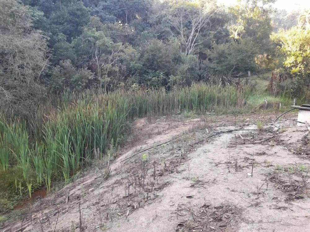 Terreno, 1 hectares - Foto 7