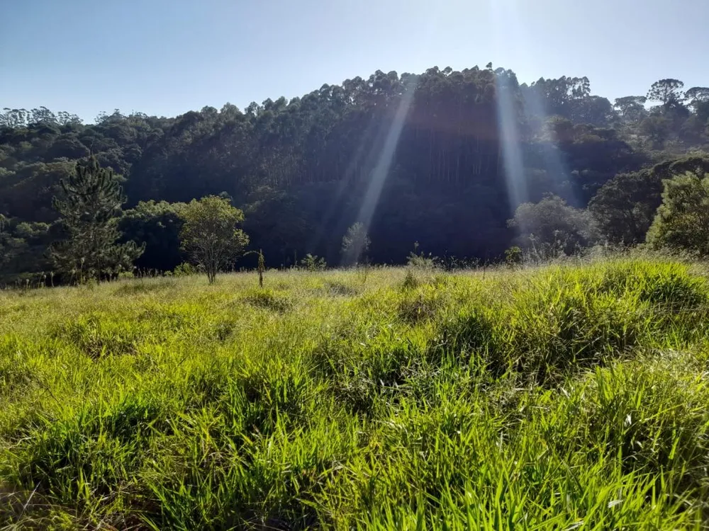 Terreno, 1 hectares - Foto 8