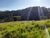Terreno, 1 hectares - Foto 4