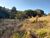 Terreno, 1 hectares - Foto 1