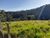 Terreno, 1 hectares - Foto 2