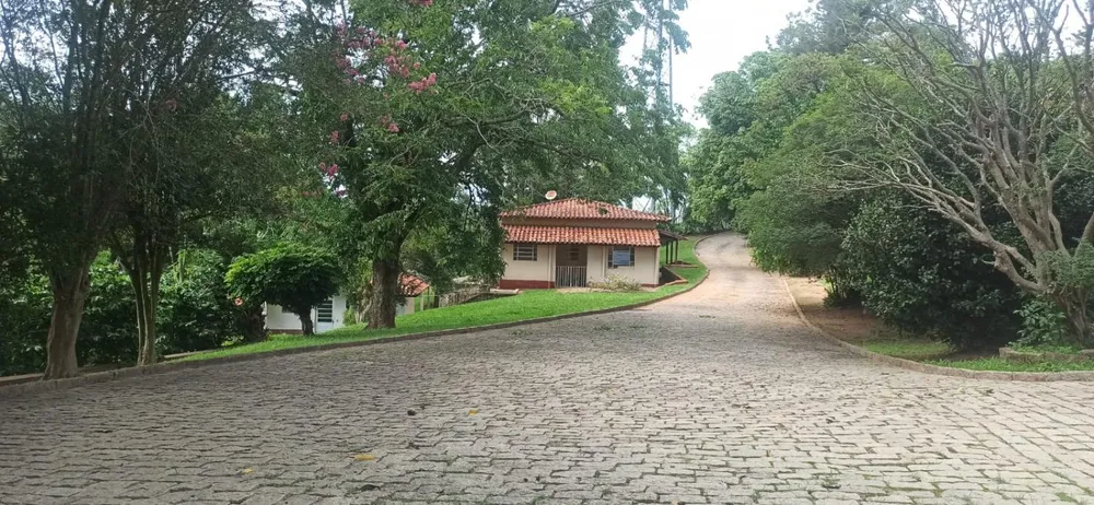 Terreno, 4 hectares - Foto 12
