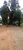 Terreno, 4 hectares - Foto 2