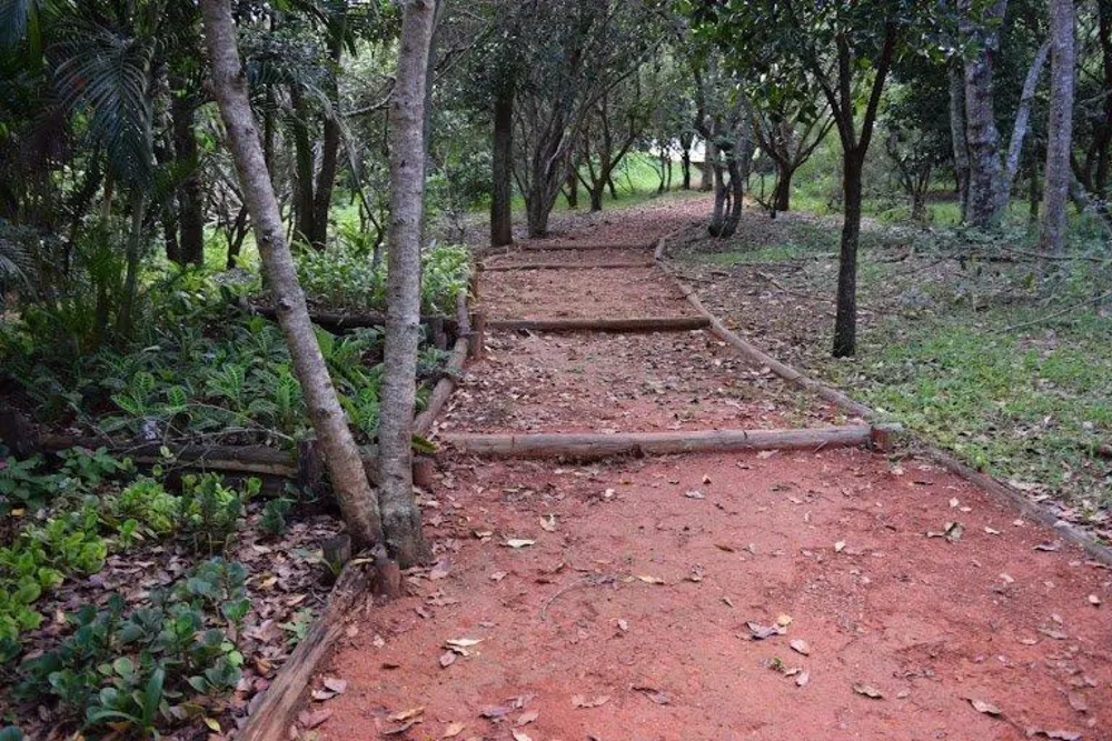 Terreno - Foto 5