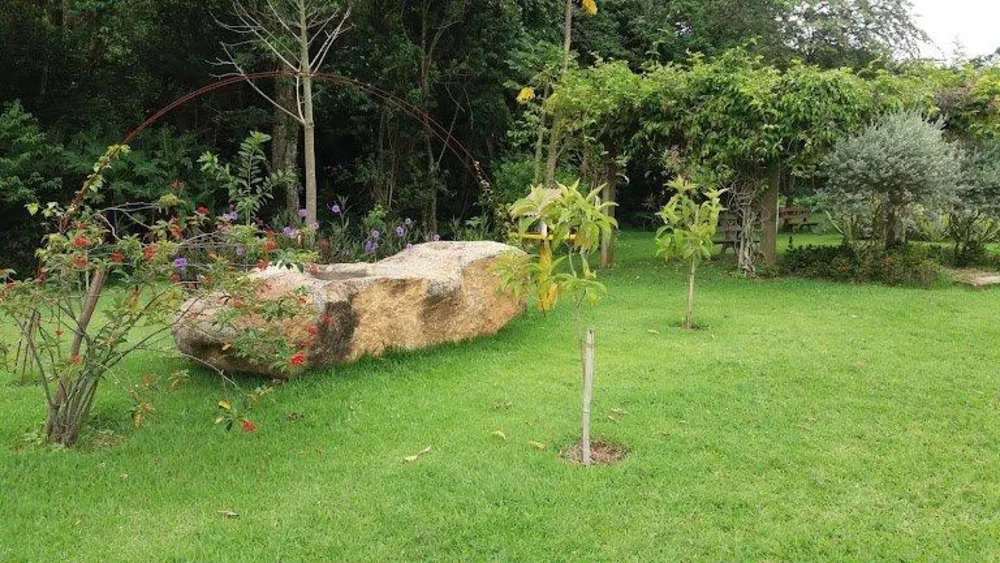 Terreno - Foto 7
