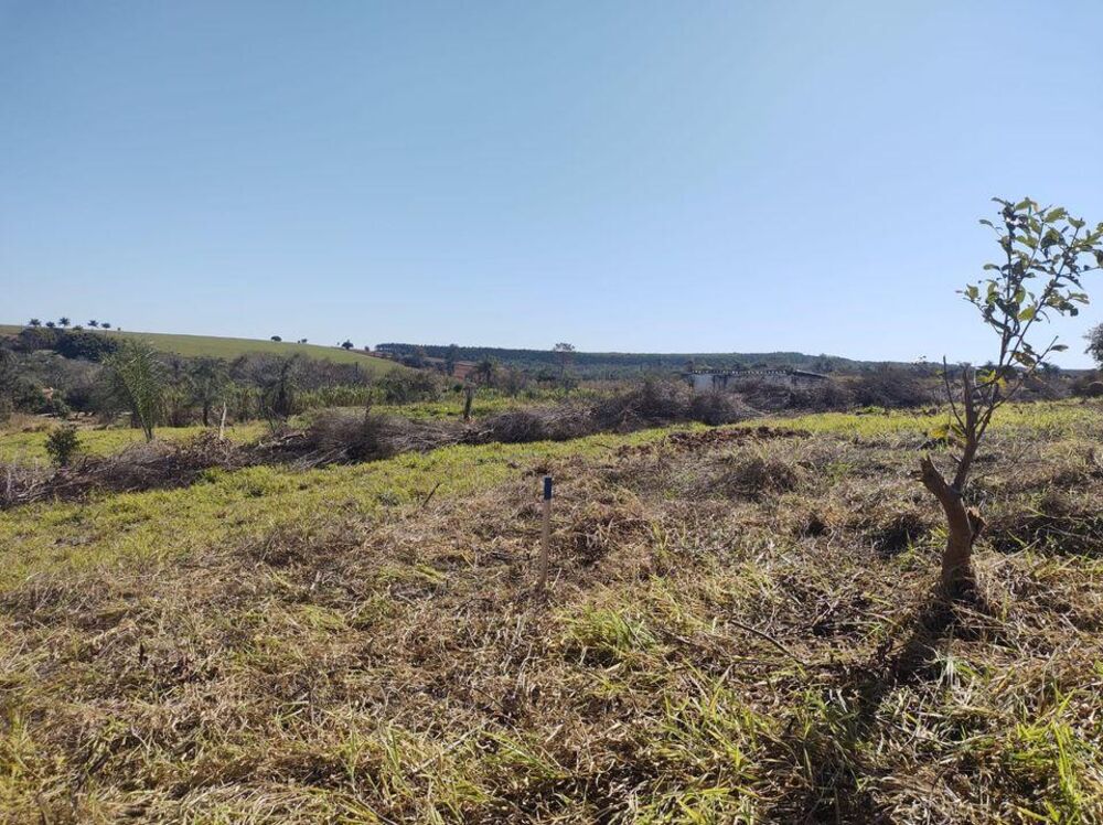 Loteamento e Condomínio - Foto 1