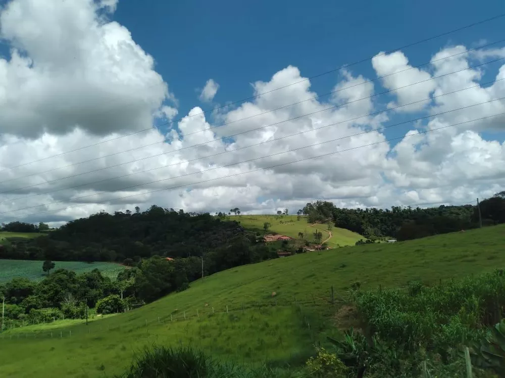 Fazenda à venda e aluguel - Foto 4