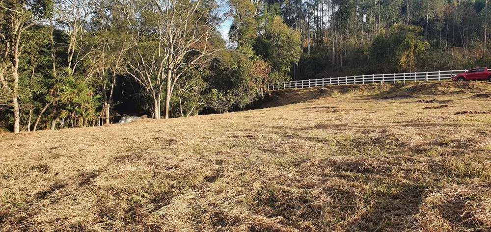 Chácara, 6000 m² - Foto 5