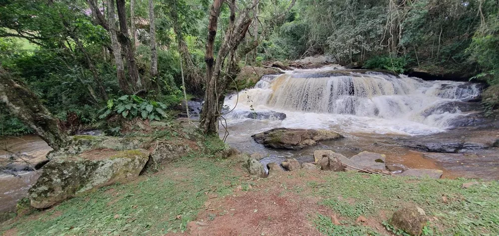 Fazenda à venda, 6000m² - Foto 3