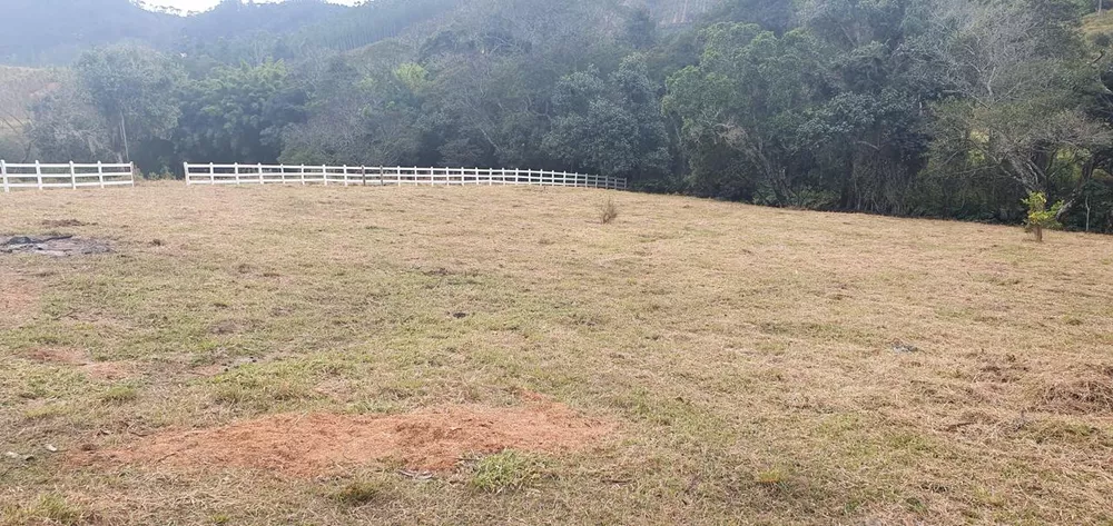 Fazenda à venda, 6000m² - Foto 4