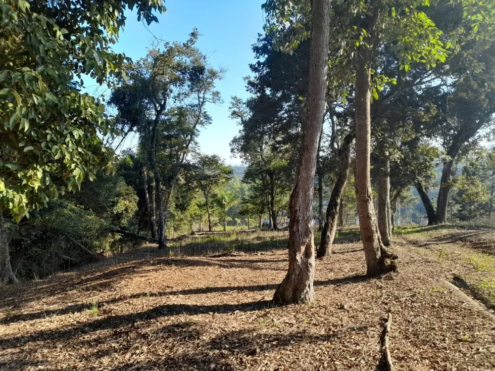 Chácara, 5850 m² - Foto 10