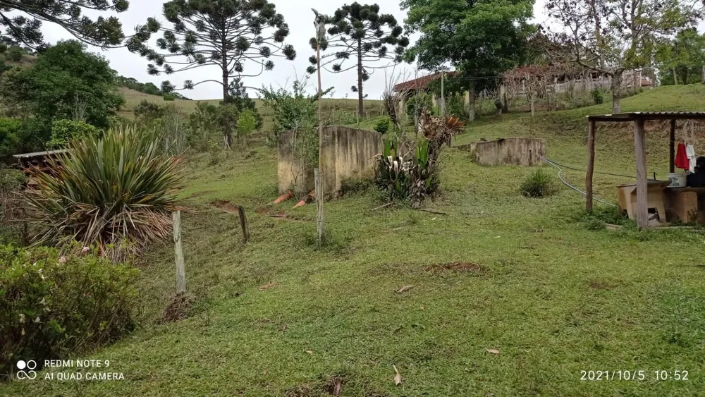 Sítio, 3 hectares - Foto 11
