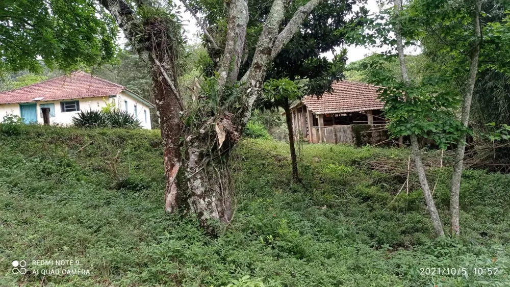 Sítio, 3 hectares - Foto 2