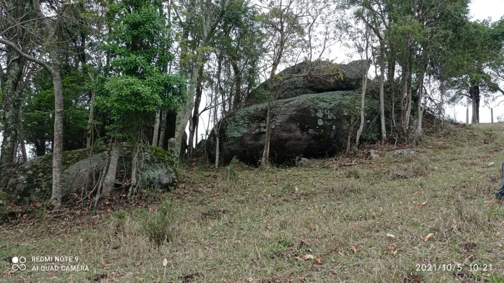 Sítio, 3 hectares - Foto 10