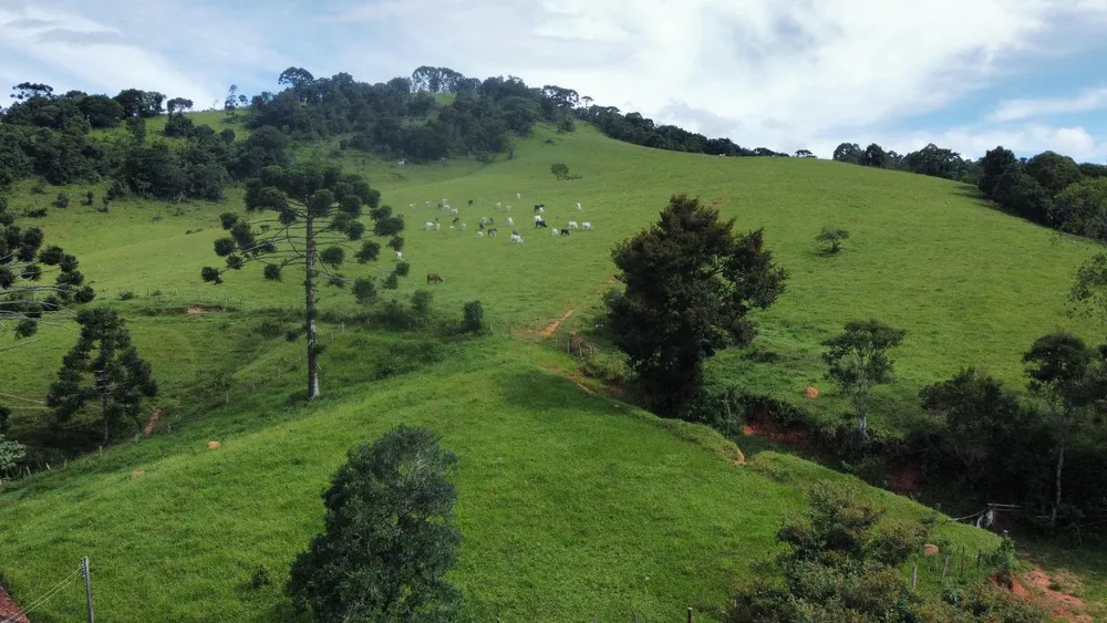 Sítio, 3 hectares - Foto 1