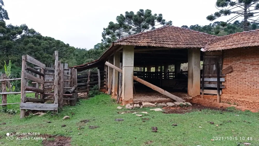 Sítio, 3 hectares - Foto 12