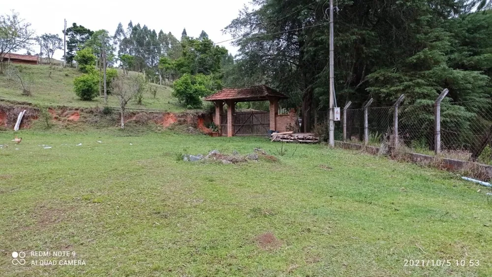 Sítio, 3 hectares - Foto 4
