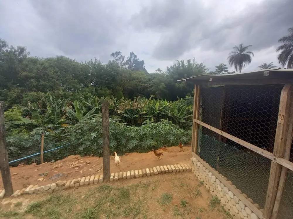 Chácara, 13 quartos, 1 hectares - Foto 9