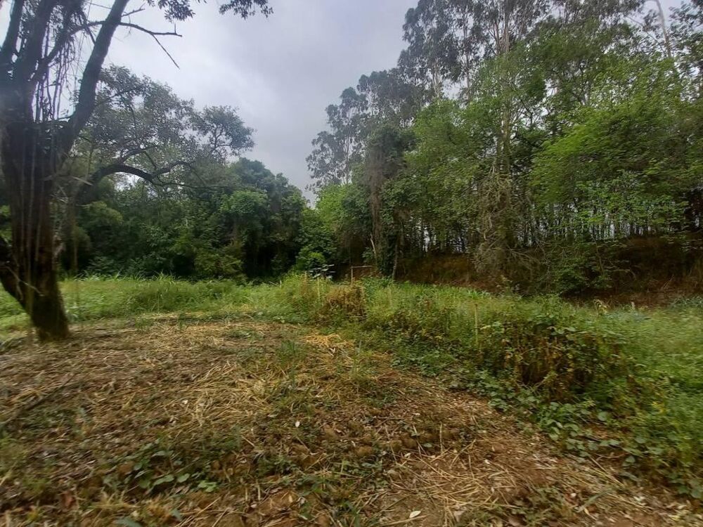 Chácara, 13 quartos, 1 hectares - Foto 4