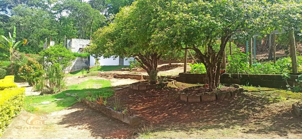 Chácara, 4 quartos, 2900 m² - Foto 8