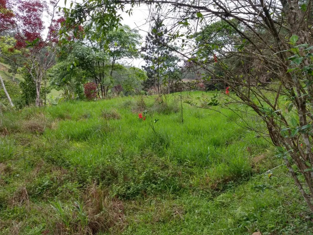 Sítio, 3 hectares - Foto 11