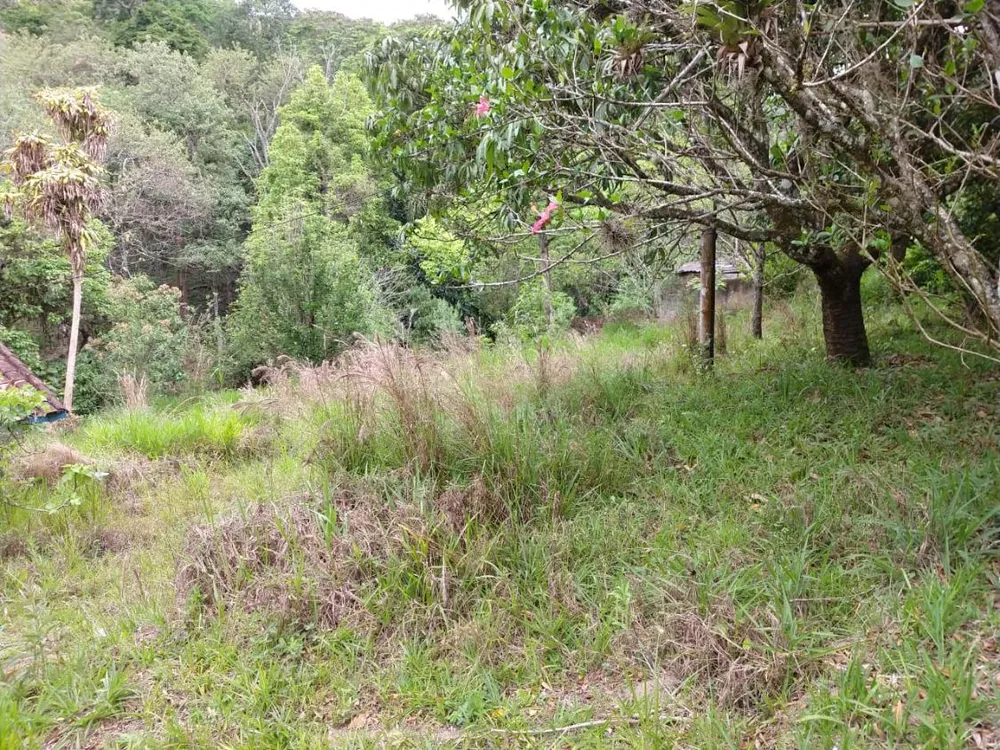 Sítio, 3 hectares - Foto 1