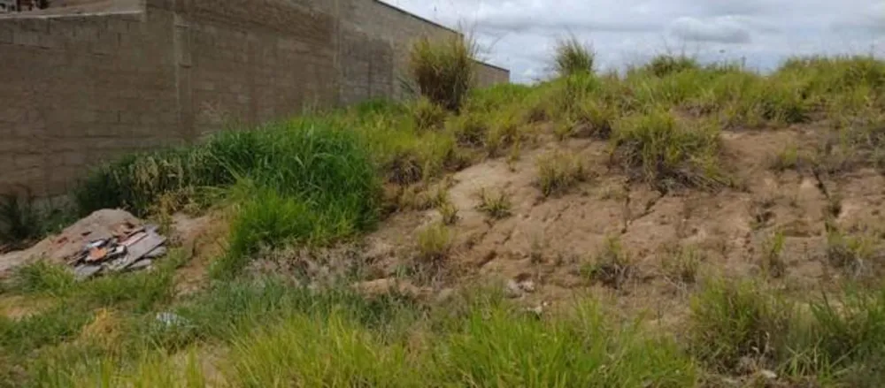 Terreno, 250 m² - Foto 5