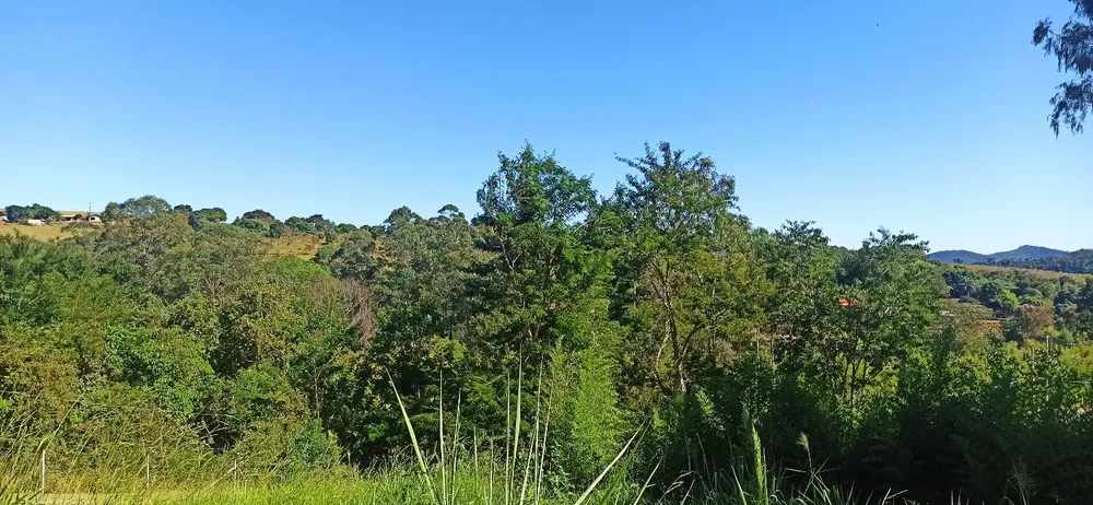 Terreno, 756 m² - Foto 1