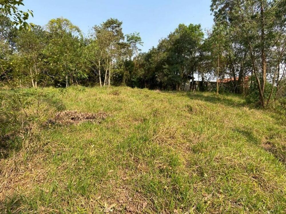 Terreno, 5141 m² - Foto 3