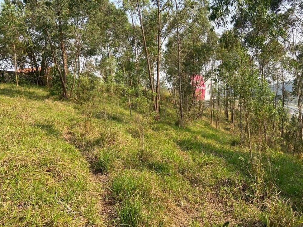 Terreno, 5141 m² - Foto 2