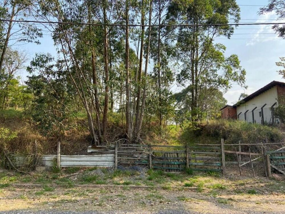 Terreno, 5141 m² - Foto 4