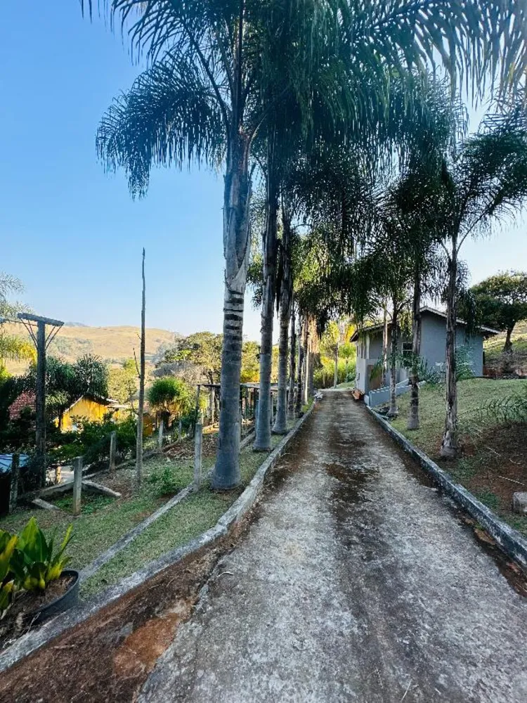 Chácara, 3 quartos, 3 hectares - Foto 3