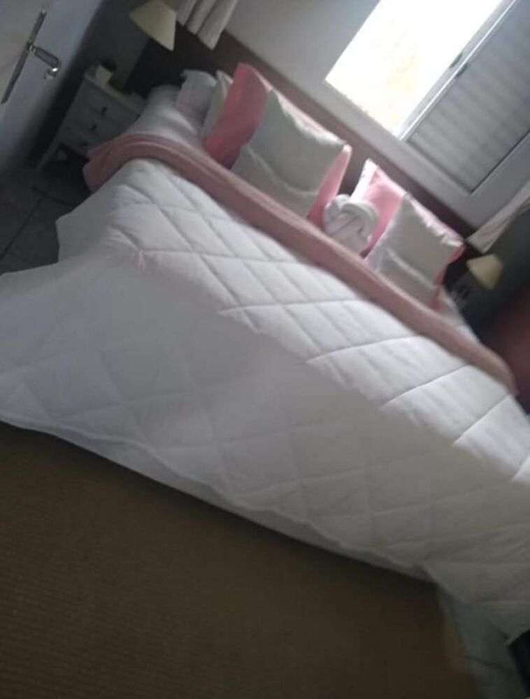 Chácara à venda com 3 quartos, 1000m² - Foto 2