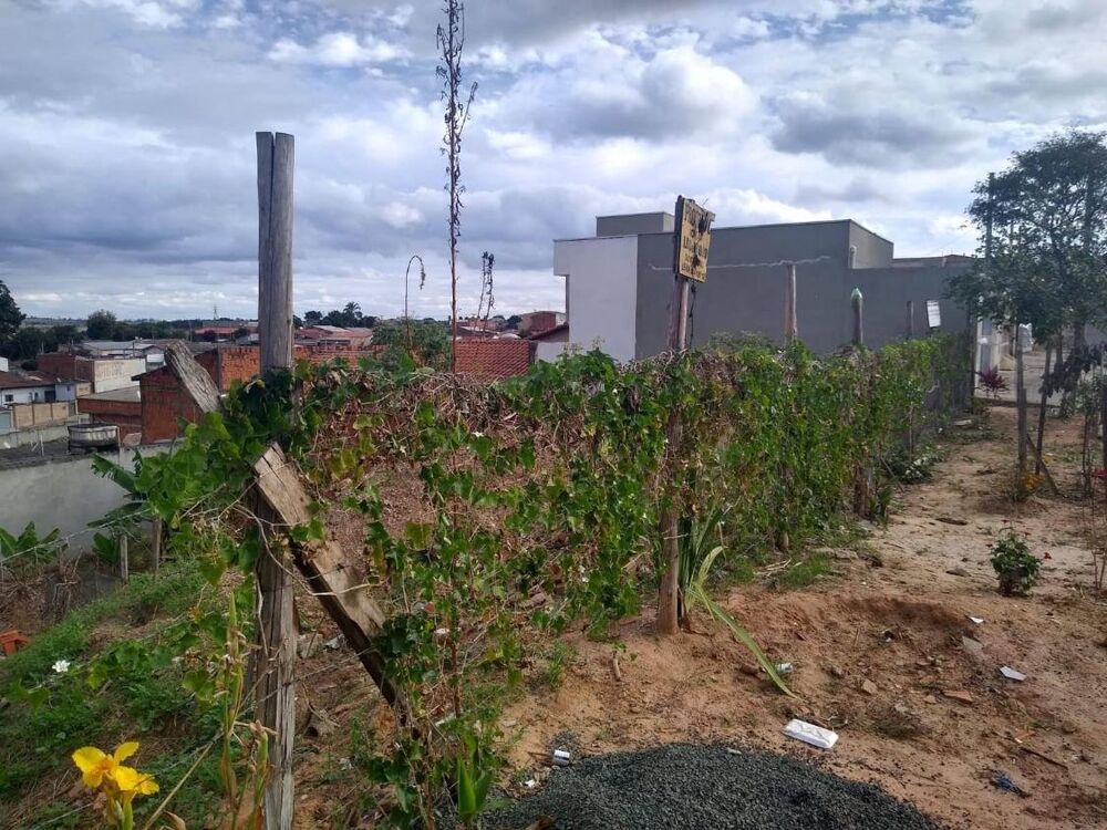 Terreno - Foto 4
