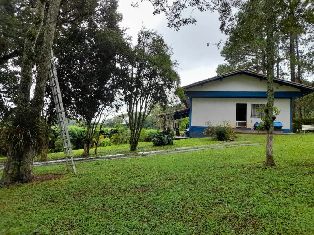Chácara, 3 quartos, 3663 m² - Foto 9