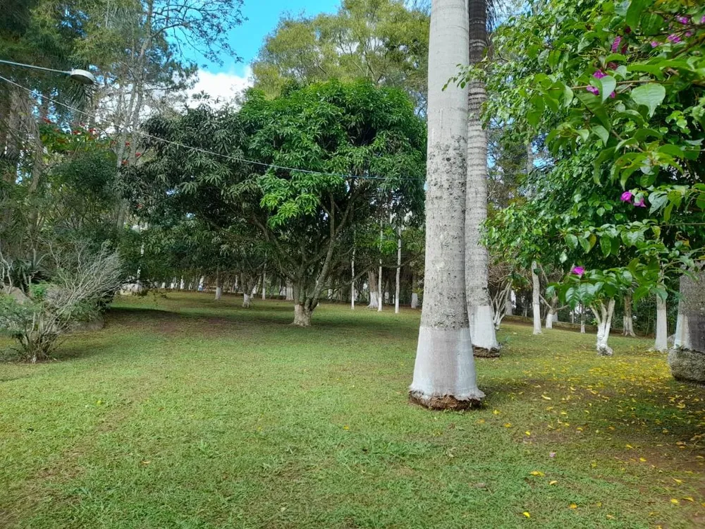 Chácara, 3 quartos, 3663 m² - Foto 8