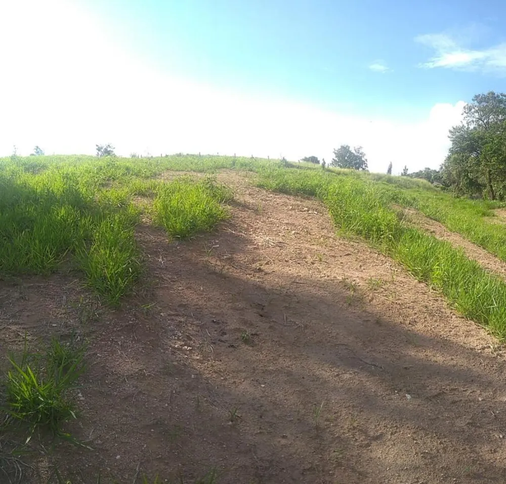 Terreno, 9500 m² - Foto 3