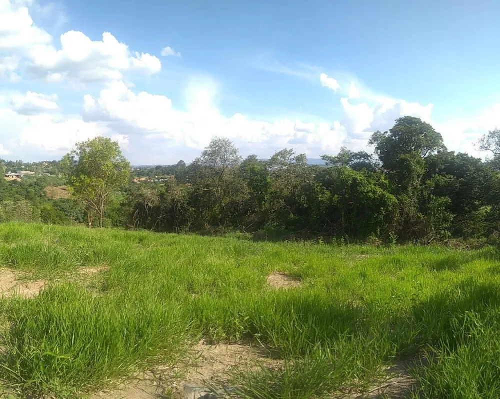 Terreno, 9500 m² - Foto 8