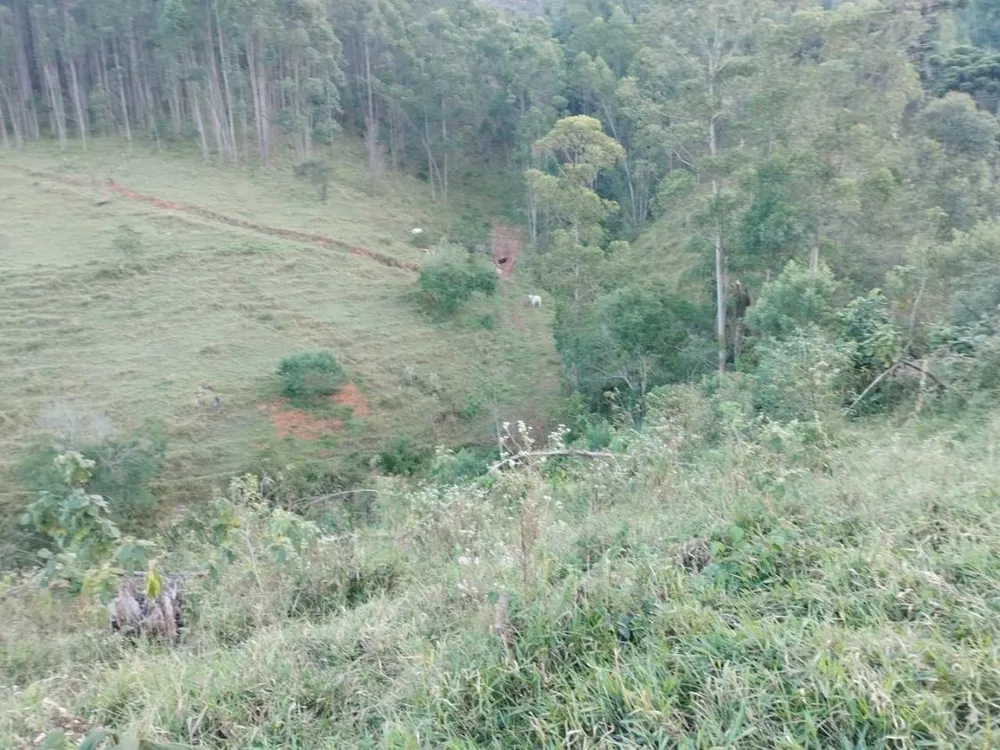 Chácara, 10 hectares - Foto 7