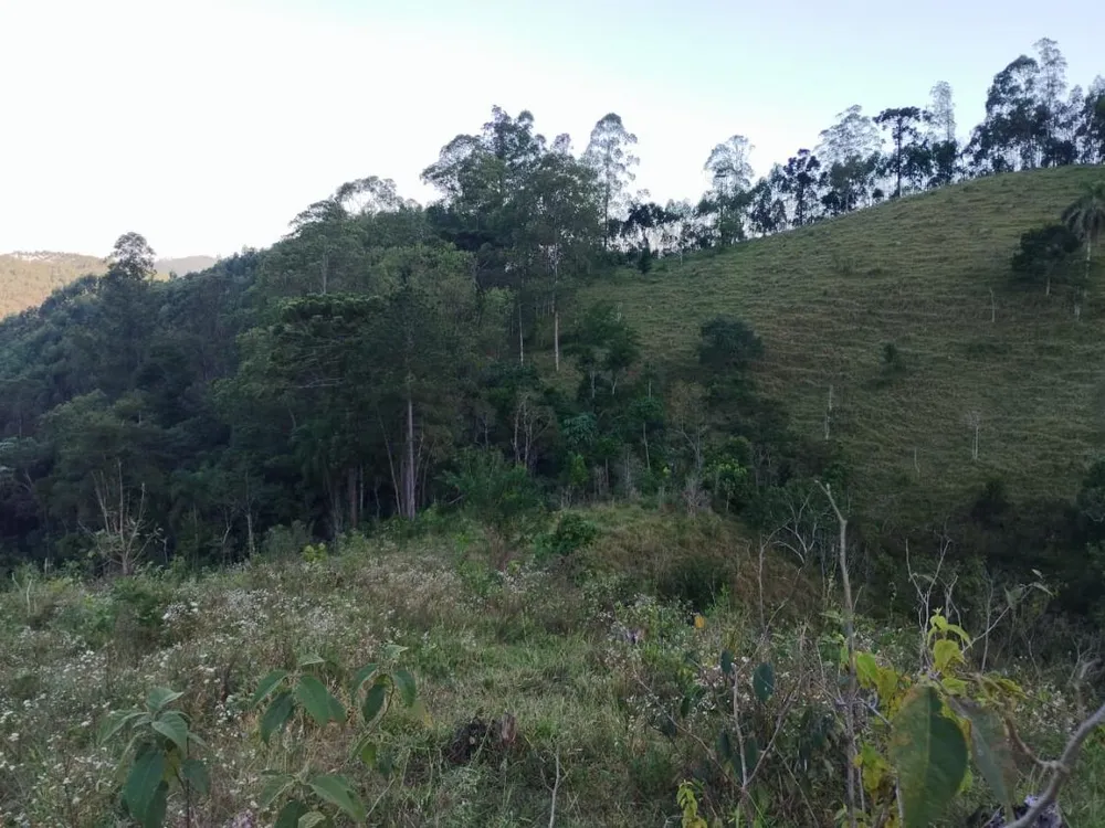 Chácara, 10 hectares - Foto 3