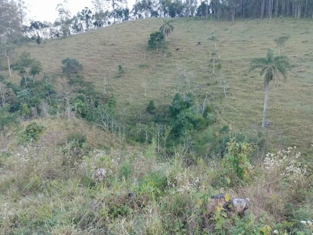 Chácara, 10 hectares - Foto 1
