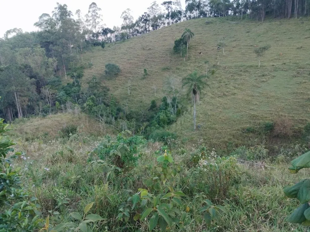 Chácara, 10 hectares - Foto 6