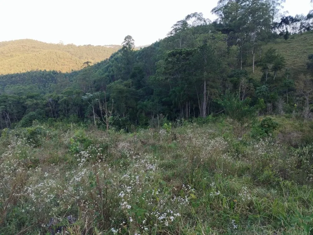Chácara, 10 hectares - Foto 2