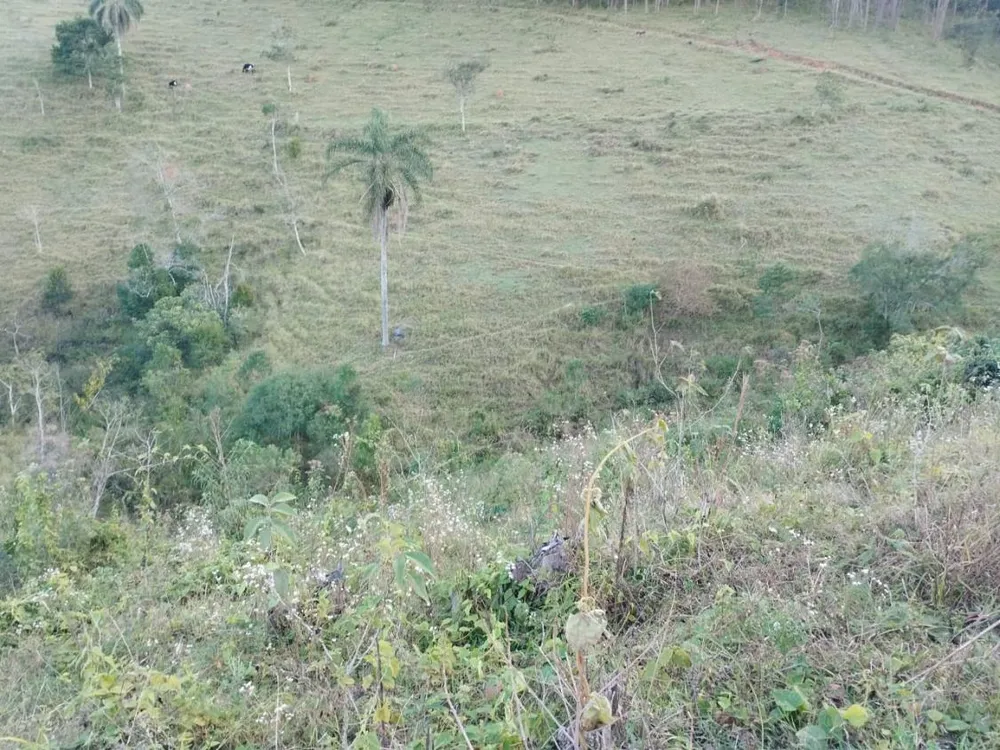 Chácara, 10 hectares - Foto 4