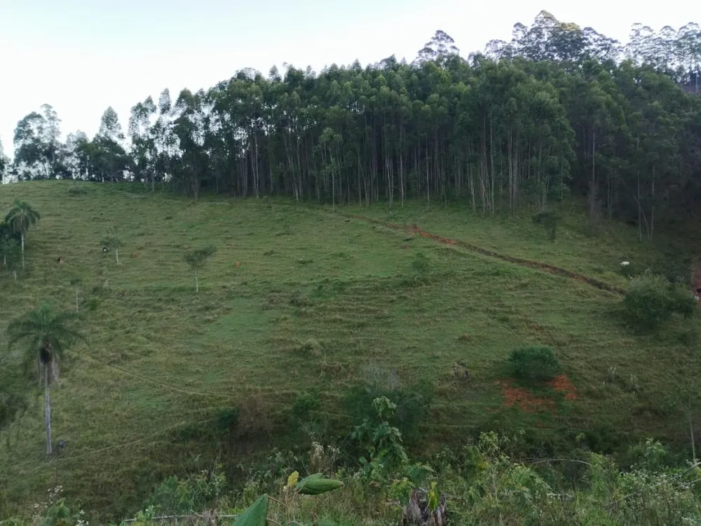 Chácara, 10 hectares - Foto 8