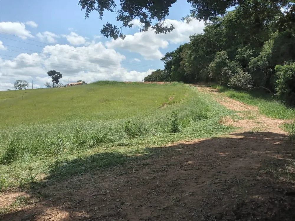 Sítio, 3 hectares - Foto 1